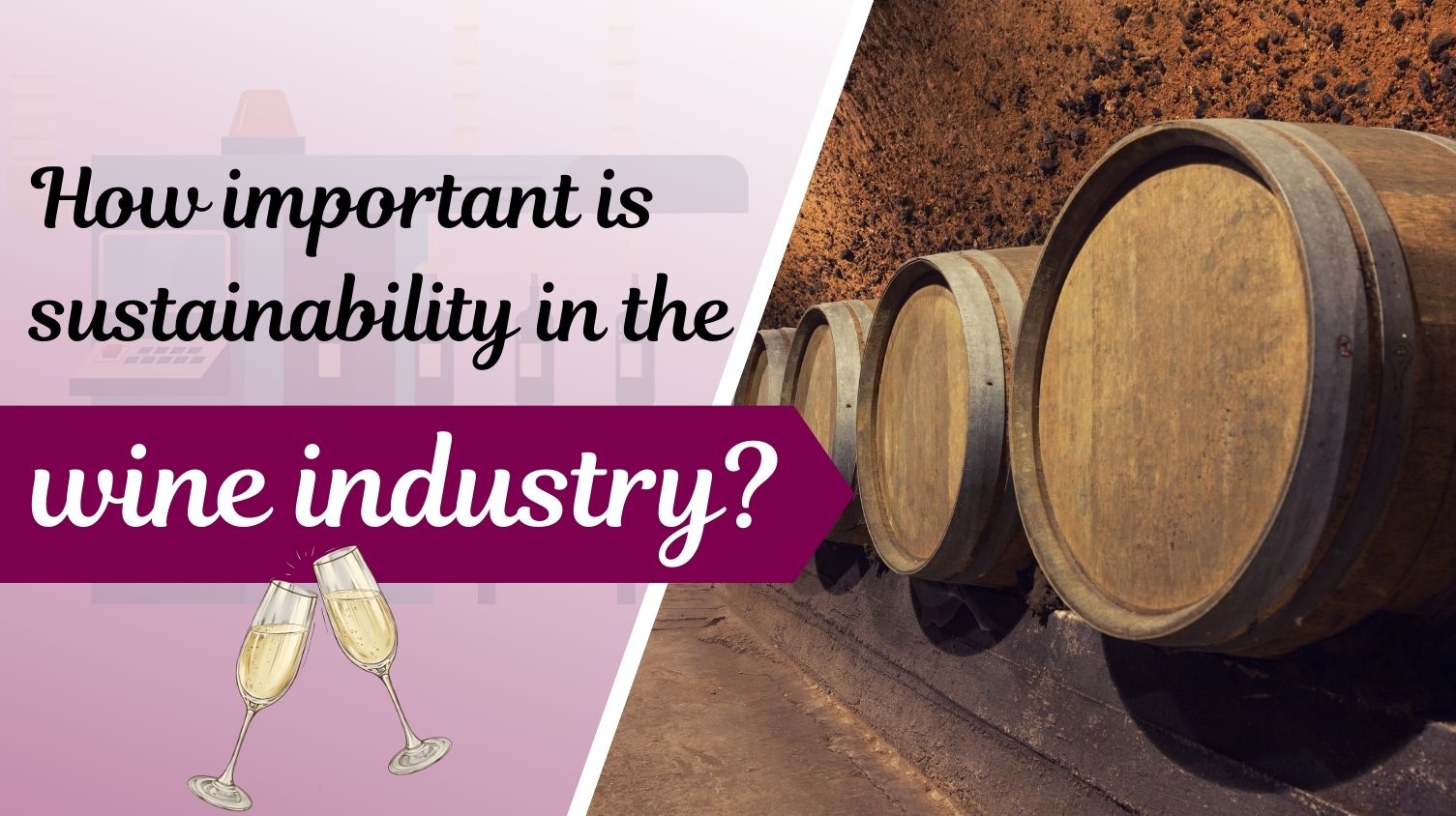 Sustainability in the Wine Industry: A Commitment to a Greener Future