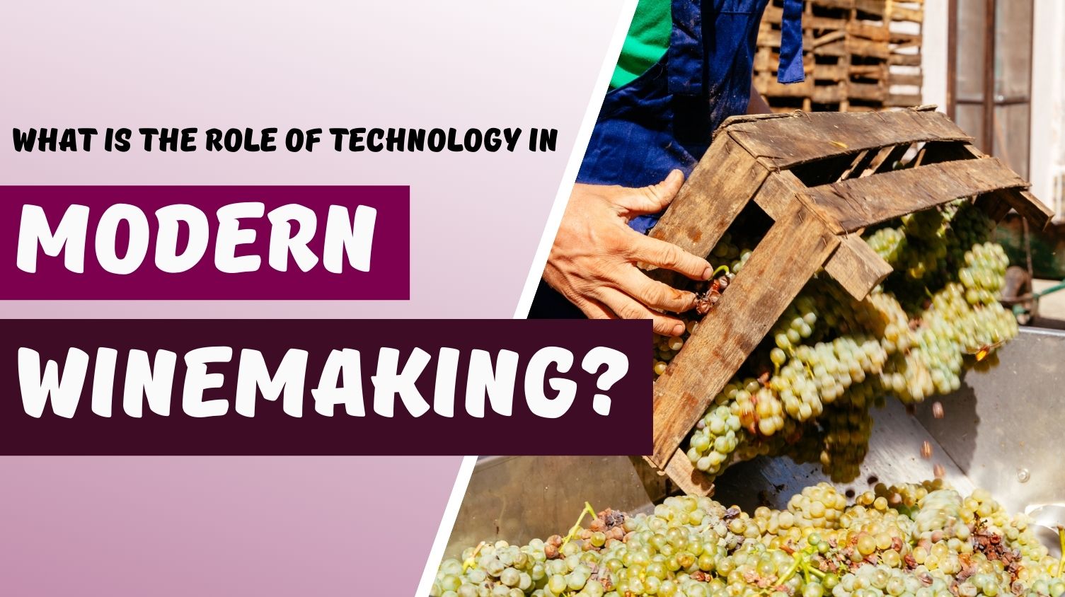 How Tradition and Technology Come Together in Winemaking?