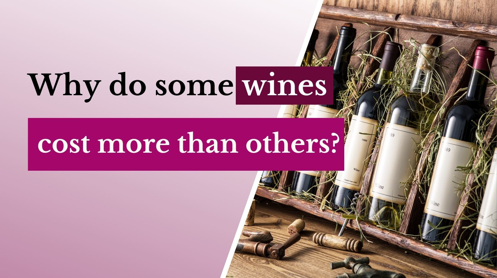 Why Do Some Wines Cost More Than Others?