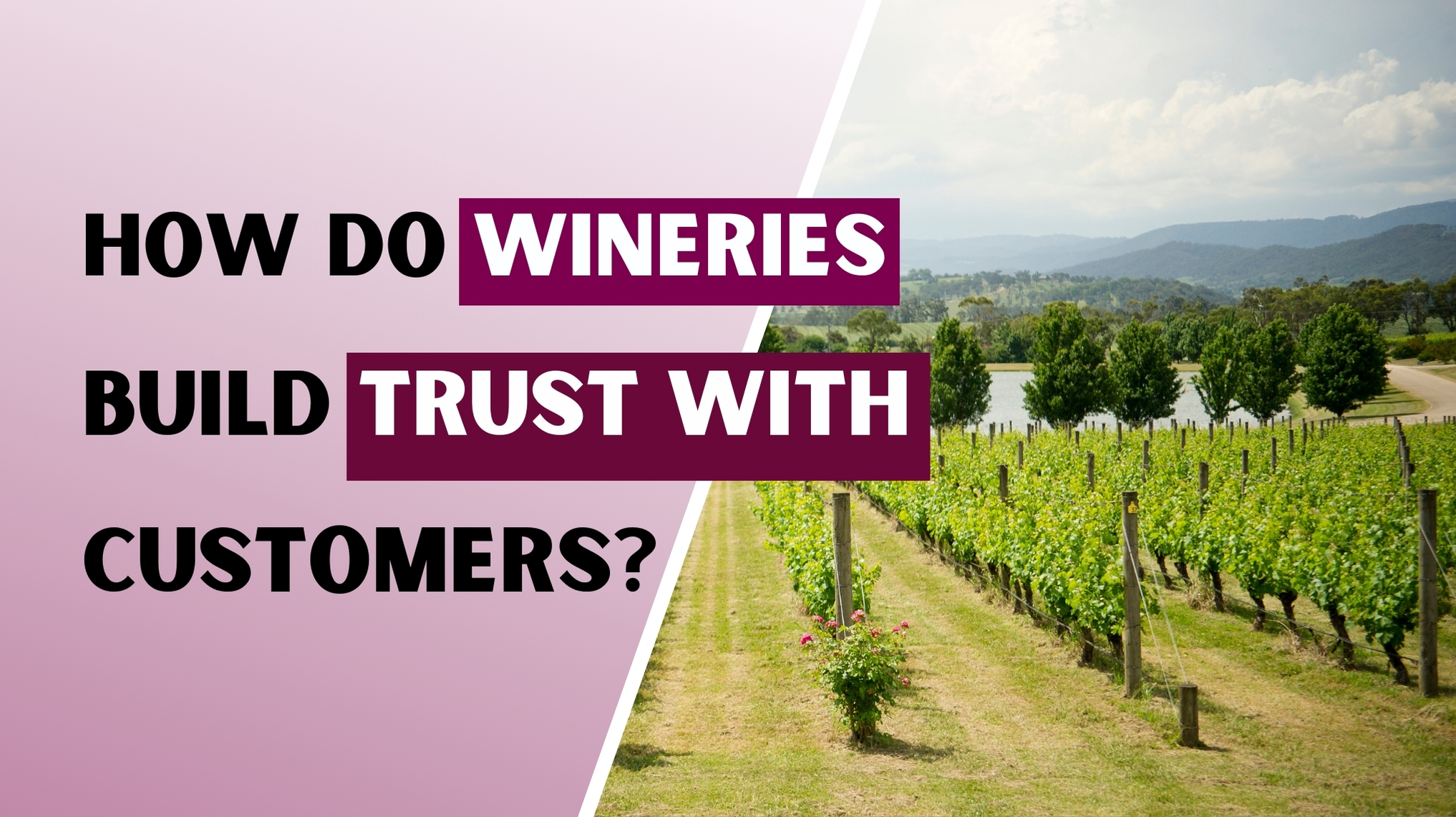 How to Build Trust in the Wine Industry?