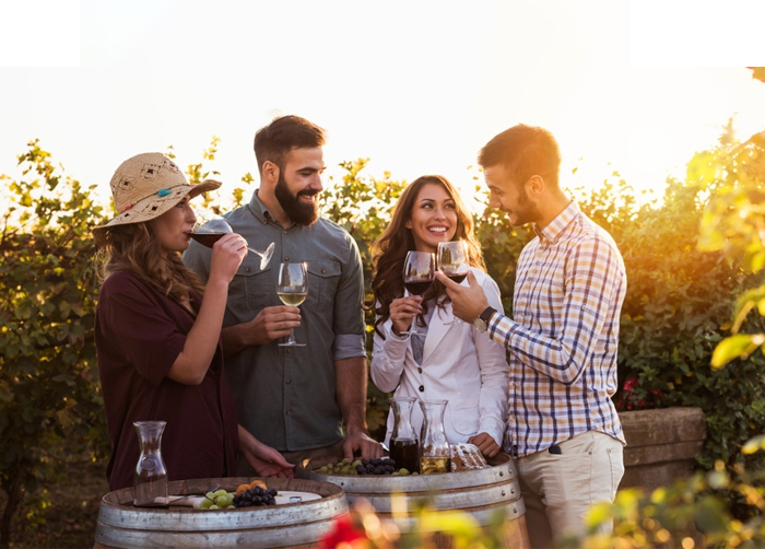 Wine Tasting Tour Sula Vineyards Nashik