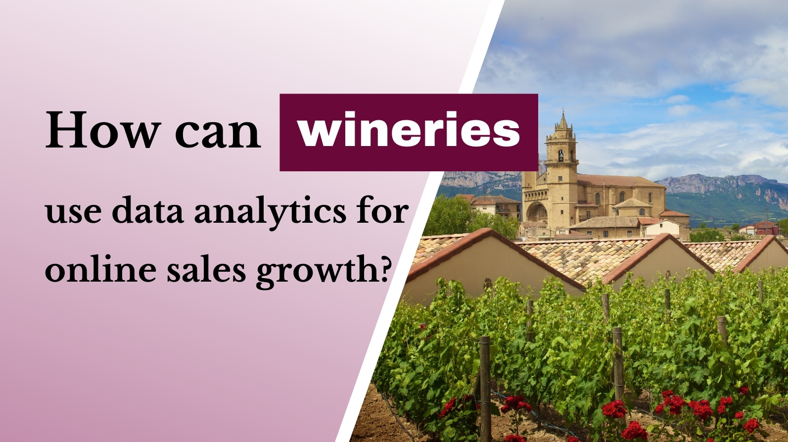 How Wineries Can Use Data Analytics to Boost Online Sales in 2025