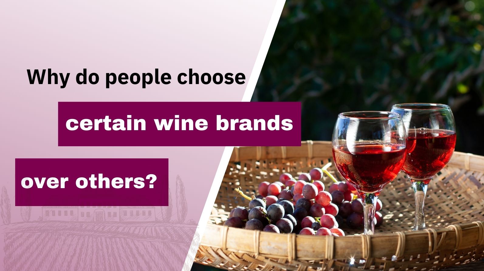 Why Do People Choose Certain Wine Brands Over Others?