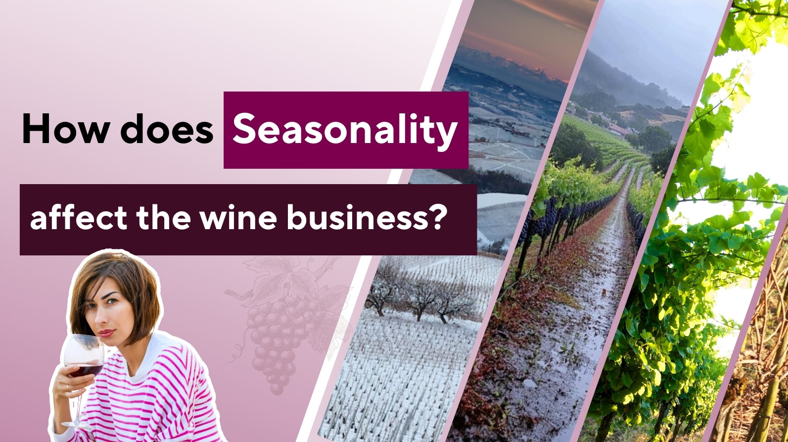 How Seasons Affect the Wine Industry: From Vineyard to Market