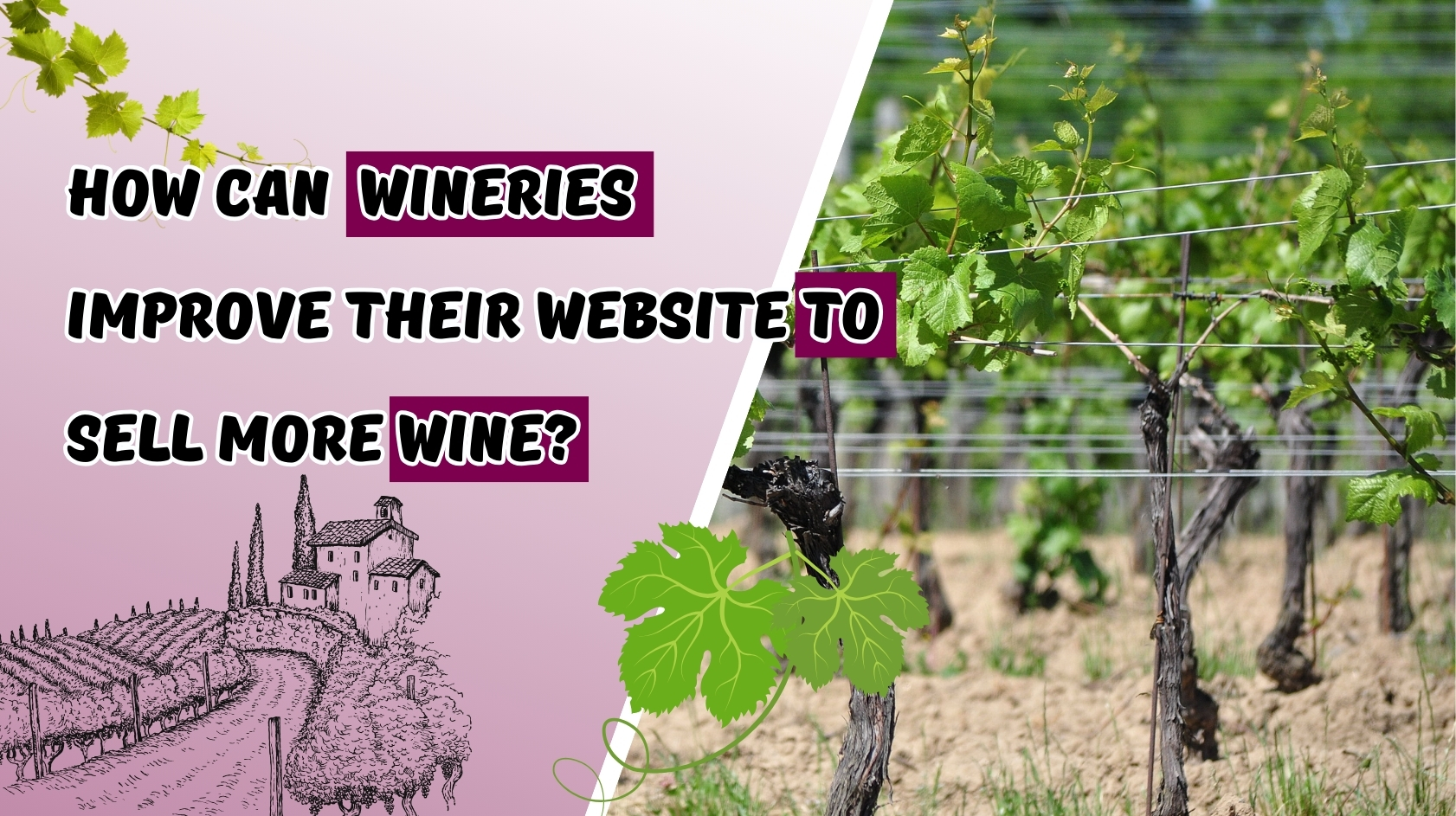 How Wineries Can Sell More Wine Online?
