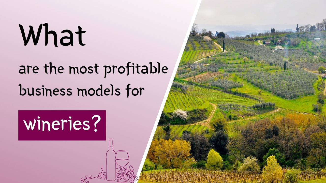 Top 10 Most Profitable Business Models for Wineries Explained Simply