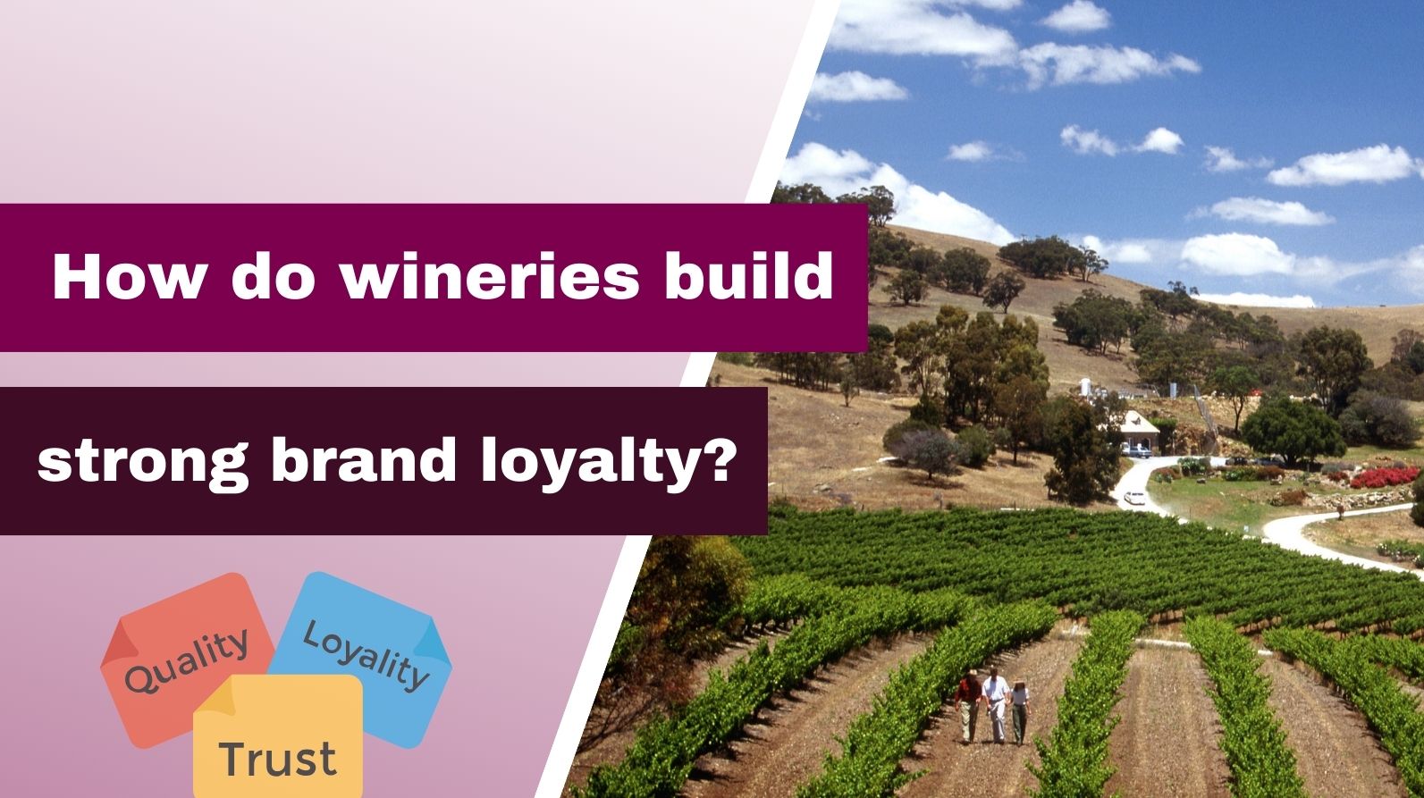 How do wineries build strong brand loyalty?