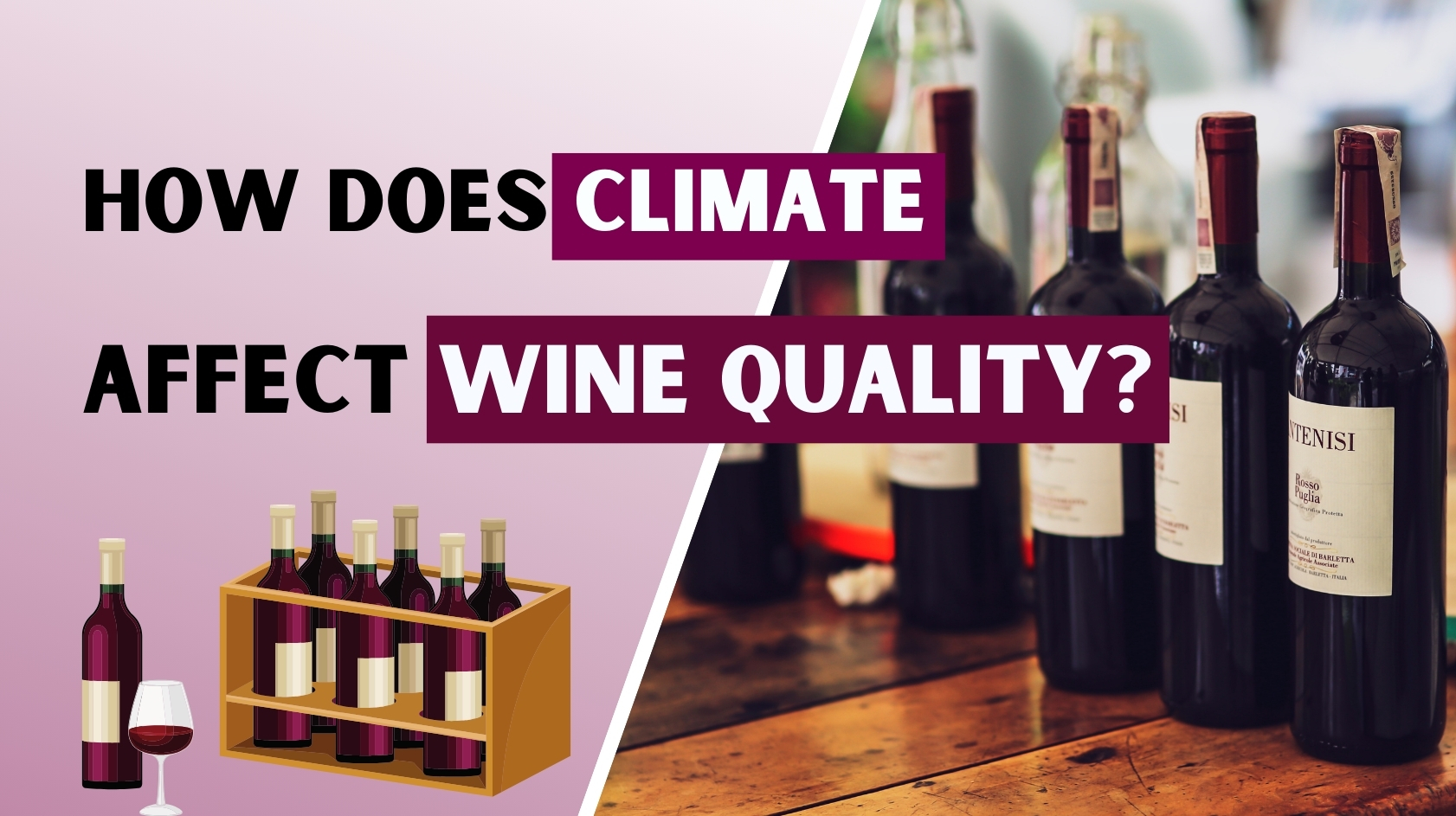 How does climate affect wine quality?