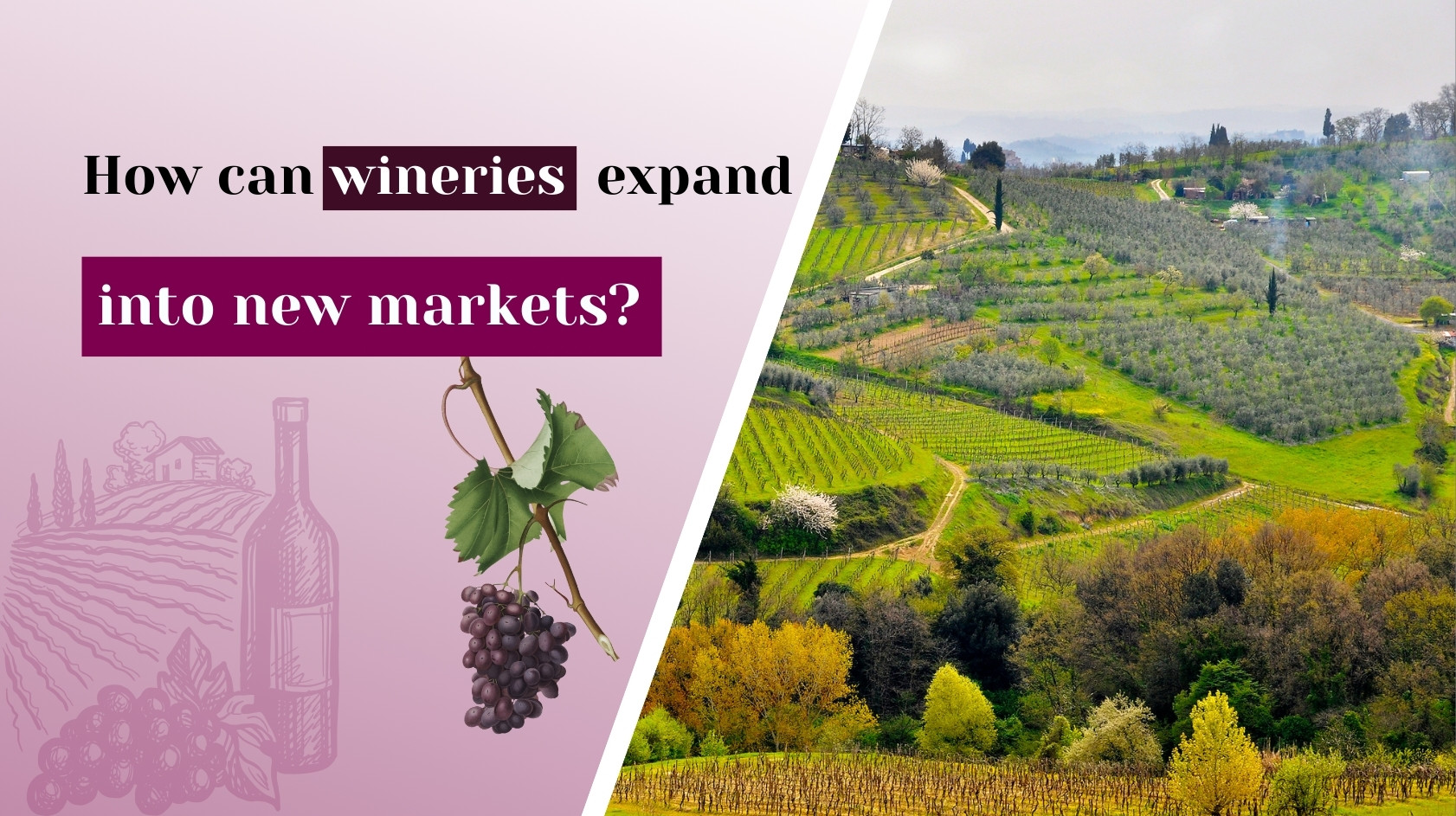 How can wineries expand into new markets?