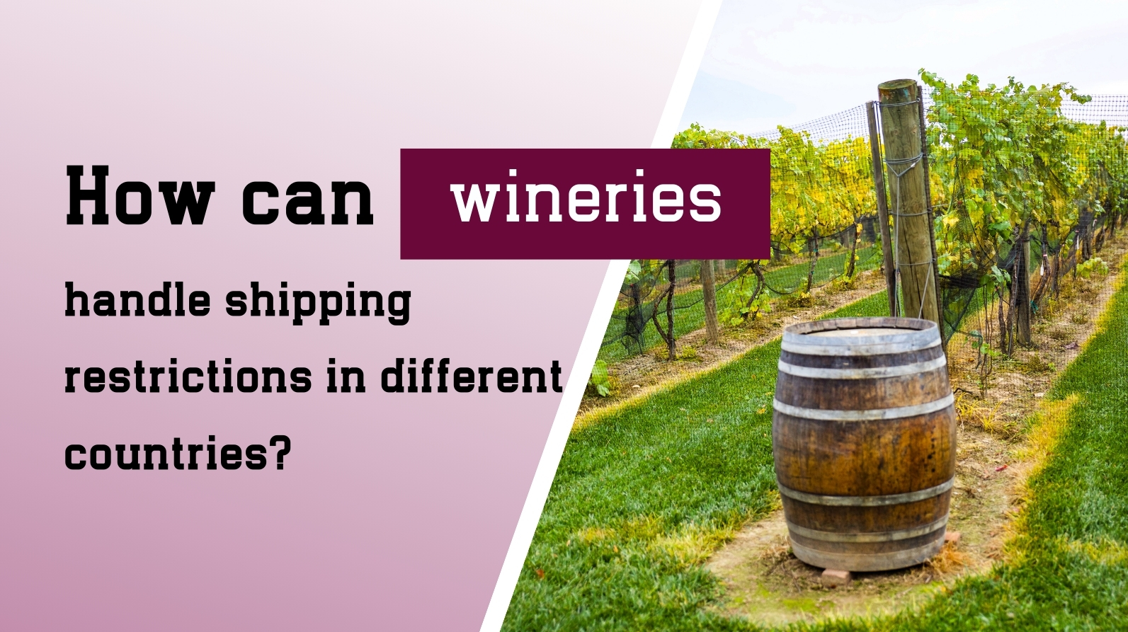 How Wineries Can Handle International Wine Shipping Restrictions in 2025