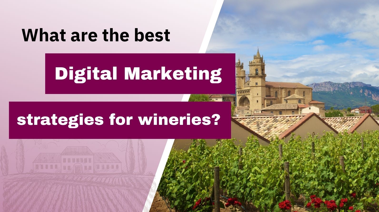 The Best Digital Marketing Strategies for Wineries