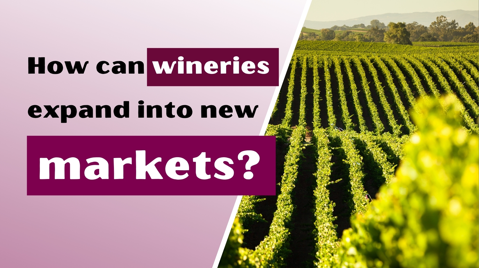 How Can Wineries Expand into New Markets?