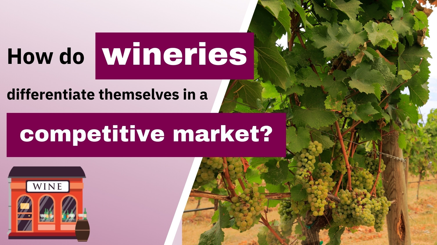 How Do Wineries Stand Out in a Competitive Market?