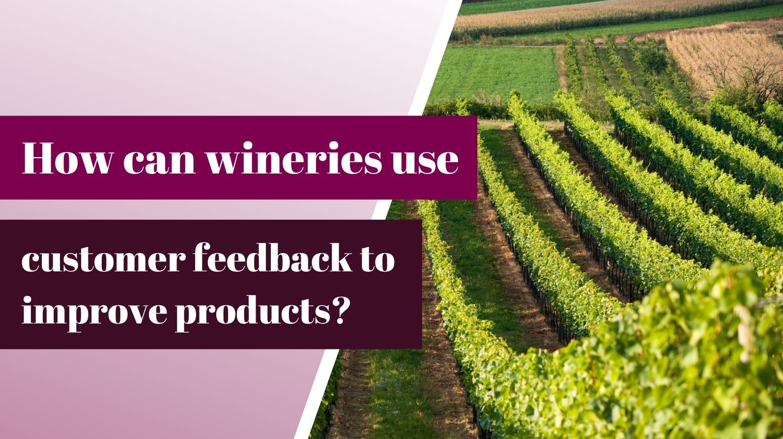 How Wineries Can Leverage Customer Feedback to Enhance Their Products